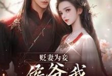 (全文)贬妻为妾,侯爷我不伺候啦慎如余启完结小说推荐贬妻为妾,侯爷我不伺候啦试读更新章节-树莓文学