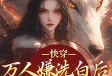 (全文)快穿：万人嫌洗白后成香饽饽了林观贞裴钧最新完结小说快穿：万人嫌洗白后成香饽饽了免费小说全本-树莓文学