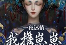 (全文)一夜迷情，我携崽崽俘获他云素予段凌霁最新完结小说一夜迷情，我携崽崽俘获他免费小说全本-树莓文学