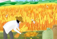 宠她入骨世子爷闻星落谢观澜最新完结小说，宠她入骨世子爷全本免费在线阅读-树莓文学