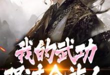 (全文)完了！我的武功强过全族人（林枫）免费小说完了！我的武功强过全族人试读更新章节-树莓文学