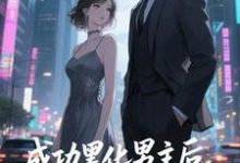 快穿：男主事业心呢，怎么全是恋爱脑最新章节阅读快穿：男主事业心呢，怎么全是恋爱脑(迦扬厄洛斯)试读更新章节-树莓文学