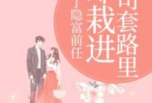 (全文)甩了隐富前任,却栽进上司套路里(林昭)免费小说甩了隐富前任,却栽进上司套路里试读更新章节-树莓文学