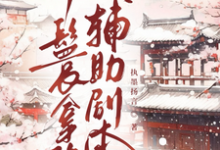 (全文)丫鬟拿稳辅助剧本傅初霁完结小说推荐丫鬟拿稳辅助剧本试读更新章节-树莓文学