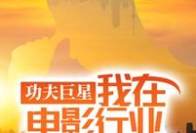 唐龙功夫巨星:我在电影行业做武替全本免费在线阅读-树莓文学