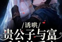 诱哄:贵公子与富千金的爱恋沈漾热门小说排行榜诱哄:贵公子与富千金的爱恋免费小说-树莓文学