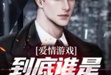 爱情游戏，到底谁是谁的替身？热门小说排行榜爱情游戏，到底谁是谁的替身？顾北免费小说全本-树莓文学