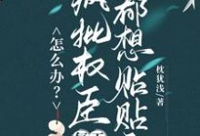 怎么办？疯批权臣每天都想贴贴我顾轻舟热门小说排行榜怎么办？疯批权臣每天都想贴贴我免费小说-树莓文学