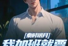 秦时明月：我加班就要被扣经验值推荐完结小说秦时明月：我加班就要被扣经验值(赵子珏)免费小说全本-树莓文学