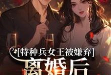特种兵女王被嫌弃，离婚后马甲爆了（乔沁顾沉霆）小说推荐特种兵女王被嫌弃，离婚后马甲爆了全章小说阅读-树莓文学