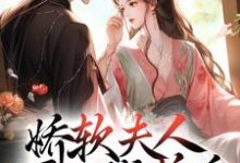 (全文)娇软夫人不再撒娇后，侯爷他慌了乔嫚宁祈全本免费在线阅读-树莓文学