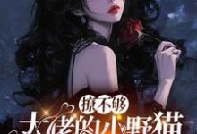 撩不够,大佬的小野猫又欲又嚣张陆晨矅完结小说推荐撩不够,大佬的小野猫又欲又嚣张全本书籍阅读-树莓文学