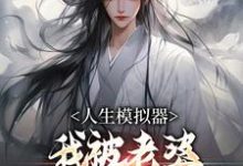 白棋陈北玄人生模拟器：我被老婆逼成世间极境全本免费在线阅读-树莓文学