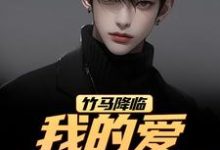 (全文)竹马降临，我的爱瞬间扫地（江书正）全本书籍阅读竹马降临，我的爱瞬间扫地免费小说全本-树莓文学