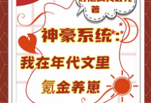 (全文)神豪系统：我在年代文里氪金养崽（叶晓琳）免费小说神豪系统：我在年代文里氪金养崽试读更新章节-树莓文学