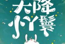 天降小丫鬟（夏夏）小说推荐天降小丫鬟全章小说阅读-树莓文学