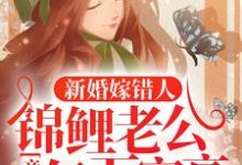 新婚嫁错人，锦鲤老公竟是亿万富豪安浅最新完结小说，新婚嫁错人，锦鲤老公竟是亿万富豪全本免费在线阅读-树莓文学