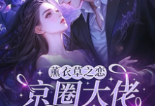 薰衣草之恋，京圈大佬暗恋我宁清灵试读更新章节薰衣草之恋，京圈大佬暗恋我宁清灵免费小说-树莓文学