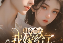 相亲当天,我嫁给了京都首富完整版小说,相亲当天,我嫁给了京都首富蓝冉试读更新章节-树莓文学