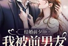 结婚前夕，我被前男友带走了薄寒深曲南枝完结小说推荐结婚前夕，我被前男友带走了全本书籍阅读-树莓文学