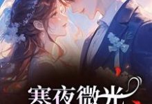 (全文)寒夜微光：她的逆袭人生袁小苔最新完结小说寒夜微光：她的逆袭人生免费小说全本-树莓文学