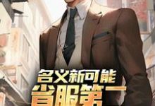 名义新可能：省服第二能否逆转大局完整版小说，名义新可能：省服第二能否逆转大局萧承全章小说阅读-树莓文学