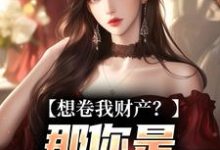 想卷我财产？那你是碰到铁板了最新完结小说想卷我财产？那你是碰到铁板了舒楹免费小说-树莓文学