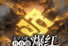 (全文)玄学大佬开直播，爆红阴阳两界(虞初见孟白首)全本免费在线阅读-树莓文学