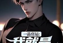 一品官运：我就是无冕之王（陈飞宇）全章小说阅读-树莓文学