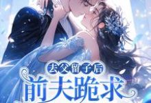 (全文)去父留子后,前夫跪求伺候我月子!林亦棠最新完结小说去父留子后,前夫跪求伺候我月子!免费小说全本-树莓文学