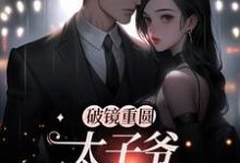 破镜重圆：太子爷他太霸道（黎念靳宴深）小说推荐破镜重圆：太子爷他太霸道全章小说阅读-树莓文学
