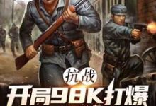 (全文)抗战：开局98K打爆大佐狗头热门小说排行榜，抗战：开局98K打爆大佐狗头林平安全章小说阅读-树莓文学