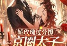 娇玫瑰过分撩，京圈太子底线全抛邓恩雅试读更新章节娇玫瑰过分撩，京圈太子底线全抛邓恩雅免费小说-树莓文学