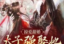 掠爱甜婚：太子强娶她入东宫最新章节阅读掠爱甜婚：太子强娶她入东宫(贺玥)试读更新章节-树莓文学