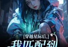 (全文)穿越星际后，我匹配到九个大冤种（洛千）免费小说穿越星际后，我匹配到九个大冤种试读更新章节-树莓文学