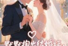 默默掏出结婚证,我的老公好奶宋禧完结小说推荐,默默掏出结婚证,我的老公好奶全章小说阅读-树莓文学