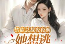 (全文)禁欲总裁夜夜缠,她想逃却逃不掉(温澜)免费小说禁欲总裁夜夜缠,她想逃却逃不掉试读更新章节-树莓文学