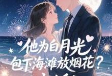 他为白月光包下海滩放烟花?离婚!最新完结小说他为白月光包下海滩放烟花?离婚!霍宴州云初免费小说-树莓文学