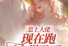 (全文)惹上大佬，现在跑还来得及吗？林媛小说推荐，惹上大佬，现在跑还来得及吗？全章小说阅读-树莓文学