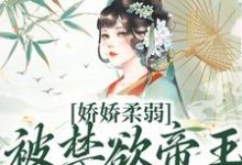 娇娇柔弱,被禁欲帝王强制囚宠最新章节阅读娇娇柔弱,被禁欲帝王强制囚宠(宋泱裴慎)试读更新章节-树莓文学