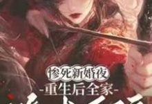 (全文)惨死新婚夜，重生后全家跪求原谅姜梨完结小说推荐惨死新婚夜，重生后全家跪求原谅试读更新章节-树莓文学