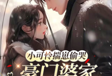 (全文)小可怜揣崽偷哭，豪门婆家来团宠(苏念念)全本免费在线阅读-树莓文学