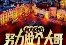 身为卧底，努力做个大哥不过分吧完整版小说，身为卧底，努力做个大哥不过分吧白舟全章小说阅读-树莓文学