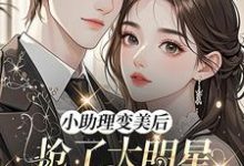 (全文)小助理变美后，抢了大明星的金主完结小说推荐苏浅浅顾承聿全本书籍阅读-树莓文学
