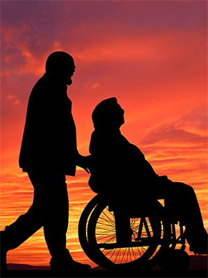 司念方叙白小说《白茶花落离人不归》在线阅读