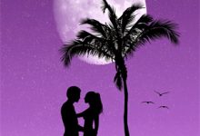 7道藤痕：非遗女王的复仇小说最新章节在哪里可以读到？-树莓文学