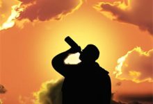 重生后我成了娱乐圈顶流小说的最新章节在哪里更新？免费追踪阅读-树莓文学