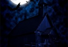 绝品盲技师叶凡张梦芸，绝品盲技师在线无弹窗阅读-树莓文学