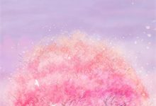 小说《赘世微光》章节免费阅读-树莓文学