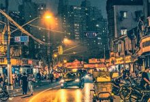 《为白月光离婚？首富亲妈让我闪婚女总裁，你哭什么》全集免费在线阅读（陈子宗慕星玥）-树莓文学